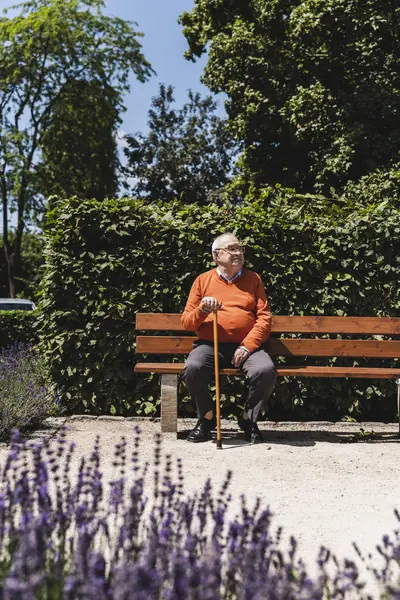 Kıdemli Adam Park Bankta Oturan Uzağa Bakıyor — Stok fotoğraf