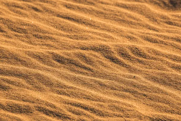 Usa Kalifornien Death Valley Death Valley Nationalpark Mesquite Flache Sanddünen — Stockfoto