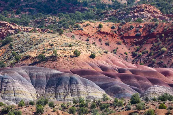 Usa Arizona Multicolored Mountains — Stock Photo, Image