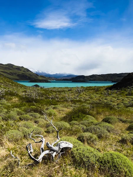 Chile Patagônia Parque Nacional Torres Del Paine Lago Nordenskjold — Fotografia de Stock