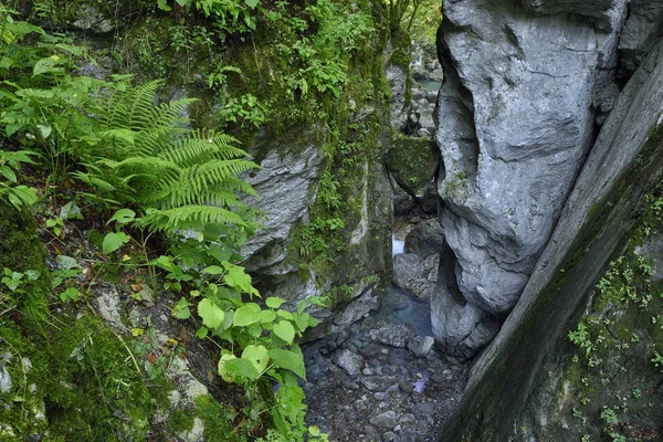 Slovenya Tolmin Triglav Ulusal Parkı Tolmin Vadisi Bears Head Rock — Stok fotoğraf