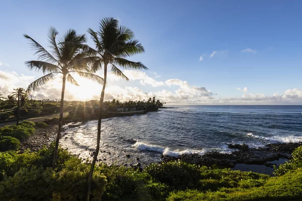 Usa Pazific Oceaan Hawaii Kauai Poipu Hoai Bay Palmen Bij — Stockfoto