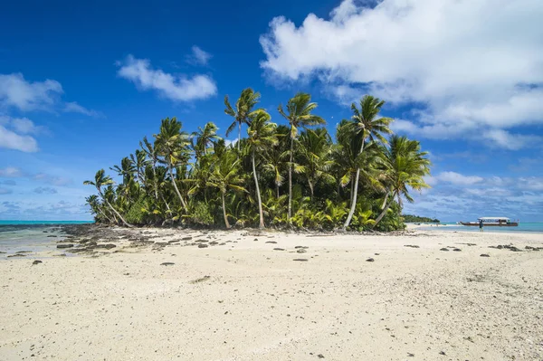 Cooköarna Rarotonga Aitutaki Lagoon White Sand Beach Och Palm Beach — Stockfoto