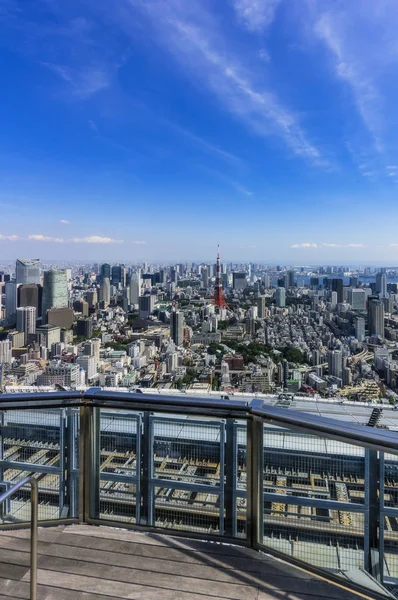 Görüntüleme Platformundan Japonya Tokyo Şehir Görünümü — Stok fotoğraf