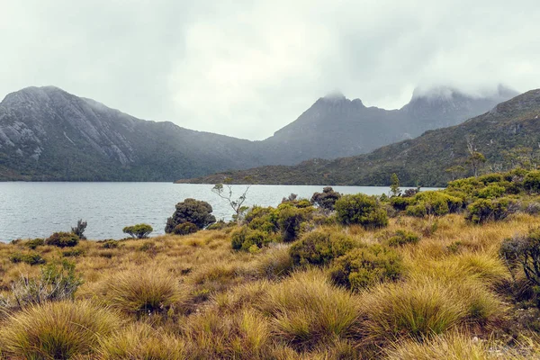 Australia Tasmania Cradle Mountain Lake Clair National Park — Zdjęcie stockowe