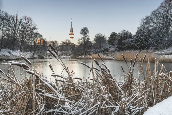 Alemanha Hamburgo Parque Planten Blomen Uma Manhã Inverno — Fotografia de Stock