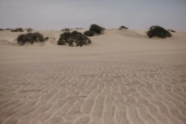 Намибия Залив Уолвис Песок Национальном Парке Намиб Науклуфт — стоковое фото