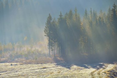 Güzel Mostviertel 'de yürüyüş 