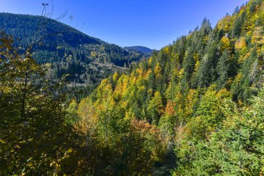 Mostviertel Avusturya 'da yürüyüş