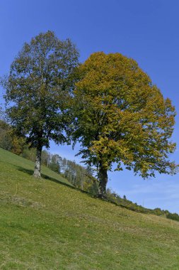 Mostviertel Avusturya 'da yürüyüş