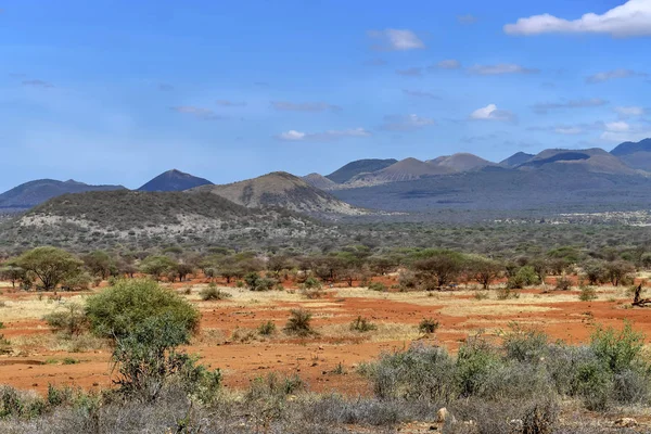 Afrika — Stockfoto