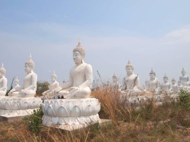 Sakeaw, Tayland - 29 Mart 2015: Satır beyaz Buda heykeli ibadet için sahada.