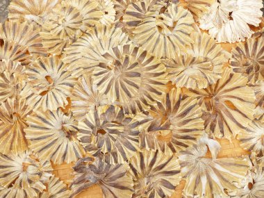 Bambu sepet üzerinde kurutulmuş balık