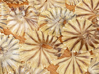 Bambu sepet üzerinde kurutulmuş balık