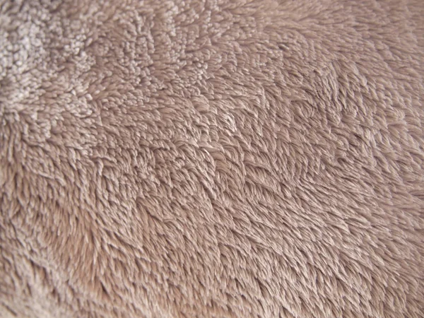 テディベアの茶色の毛皮 — ストック写真