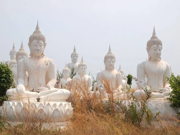 Sakeaw, Tayland - 29 Mart 2015: Satır beyaz Buda heykeli ibadet için sahada.