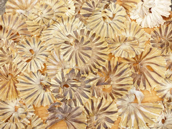 Bambu sepet üzerinde kurutulmuş balık
