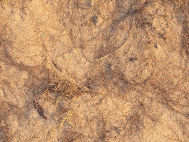 Sorunsuz kum doku arka plan