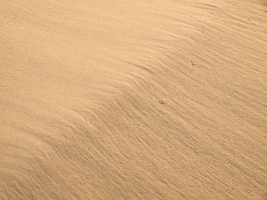 Sorunsuz kum doku arka plan