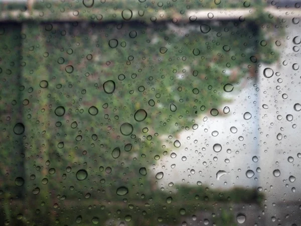 Κοντινό Πλάνο Σταγόνες Της Βροχής Γυαλί Φόντο Χόρτο Τοίχο Εκτός — Φωτογραφία Αρχείου