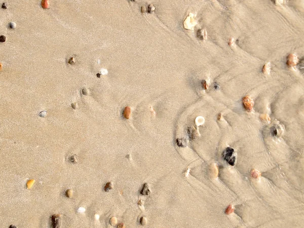 texture of sand on the beach