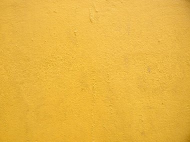 sarı duvara yakın çekim