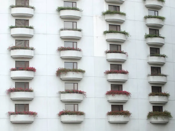 Beautiful window with flower box