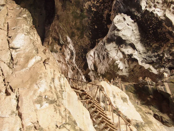 Escada Macaco Caverna — Fotografia de Stock