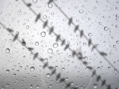 Cam background.birds yak²n güç hatları üzerinde yağmur damlaları yukarı kapatın