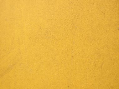 sarı duvara yakın çekim