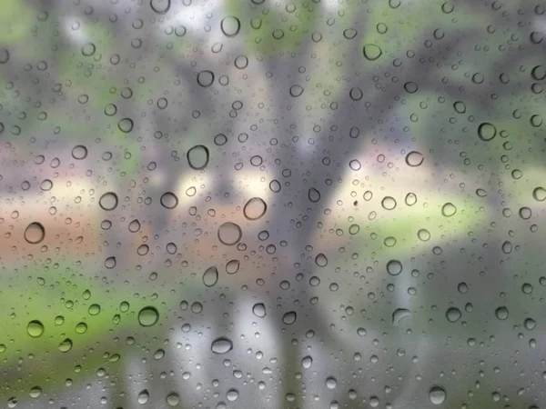 Κοντινό Πλάνο Σταγόνες Της Βροχής Γυαλί Φόντο Δέντρο Εκτός Εστίασης — Φωτογραφία Αρχείου
