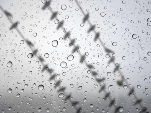 Close Drops Rain Glass Background Birds Power Lines Out Focus — Stock Photo, Image