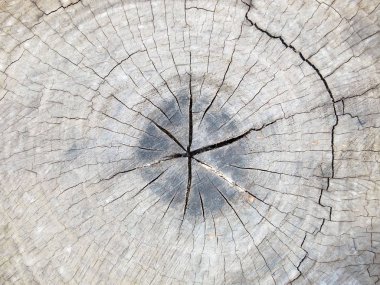 Ahşap arka plan yakın çekim