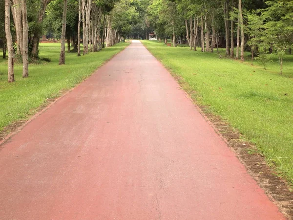 Weg Rond Bomen — Stockfoto