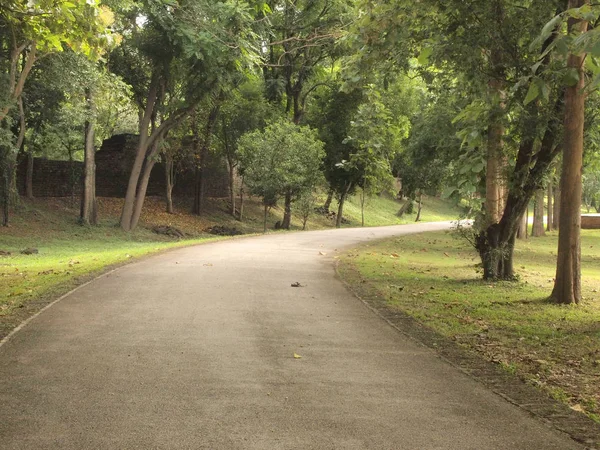 Camino Alrededor Los Árboles — Foto de Stock