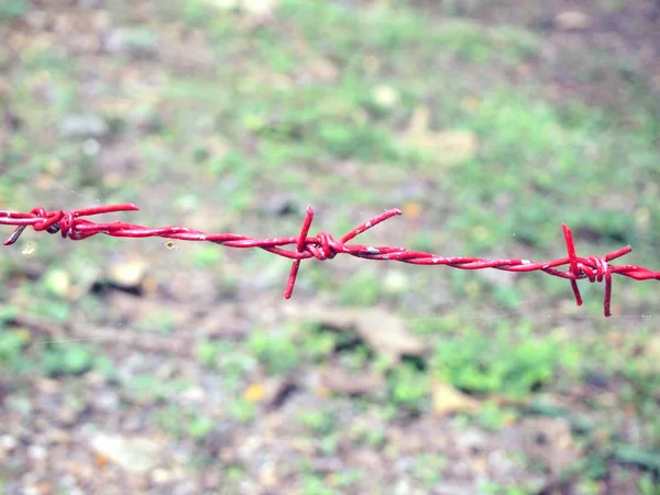 Prameny Barb Wire — Stock fotografie