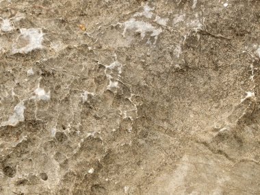 Grunge çimento duvara yakın çekim