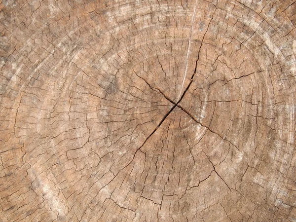 Hintergrund Holz Nahaufnahme — Stockfoto