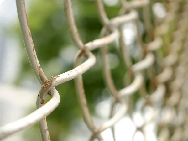 Chain Fence Close — Stock Photo, Image