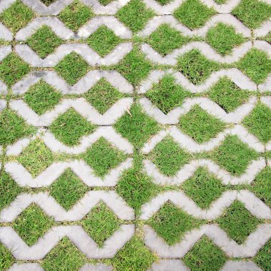 Parktaki yeşil çimenli taş blok patikası.