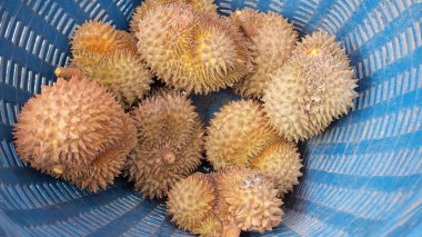 durians, sepet içinde kral