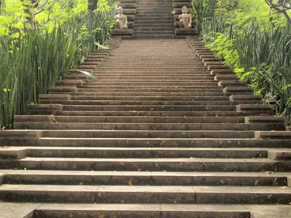 Stairs Nature Park — Stock Photo, Image