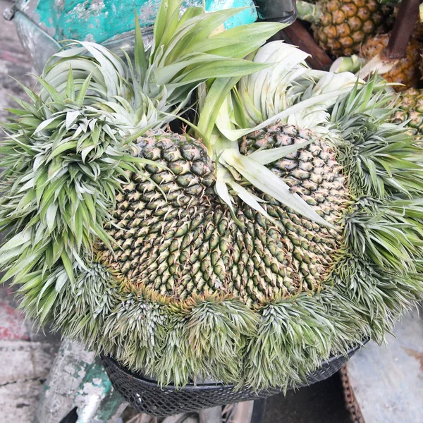 Honey Pineapples Close — Stock Photo, Image