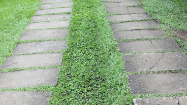 Parktaki yeşil çimenli taş blok patikası.