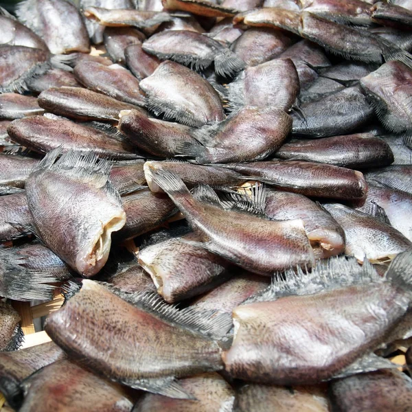 Dried Fish Close — Stock Photo, Image