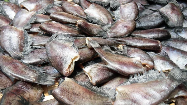 Pesce Essiccato Vicino — Foto Stock