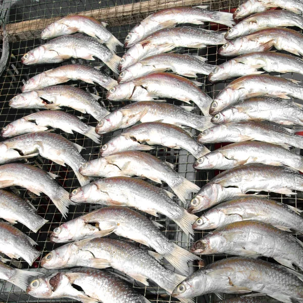 Dried Fish Close — Stock Photo, Image