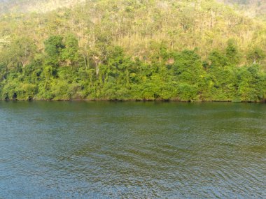 nehir ve yeşil ağaçlar