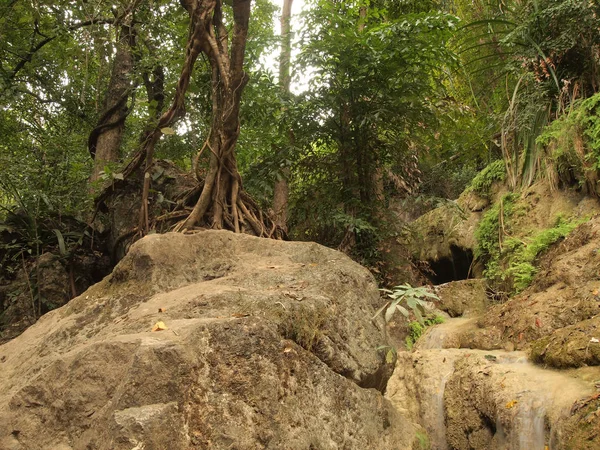 Банян Дерево Известняк Водопады Чистом Глубоком Лесу Канчанабури Таиланд — стоковое фото
