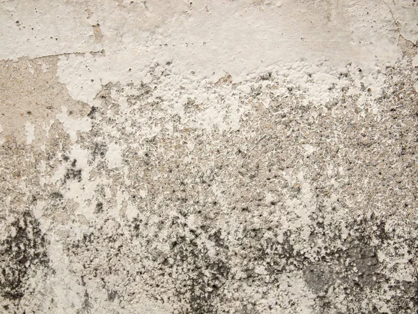 Grunge 白色背景水泥旧纹理墙 — 图库照片